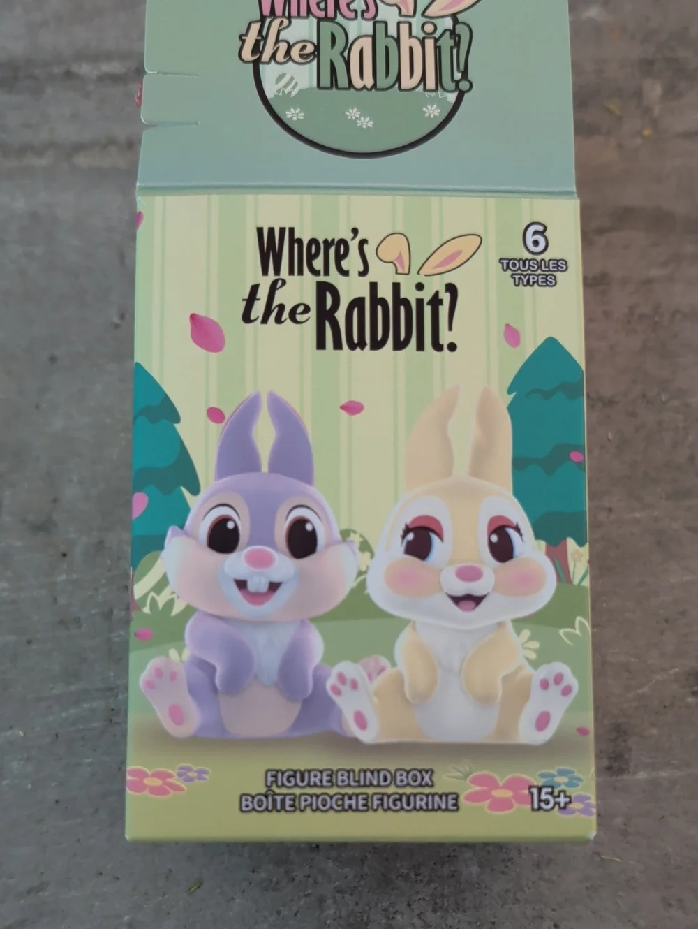 Where's the Rabbit? Blind Box Winnie The Pooh